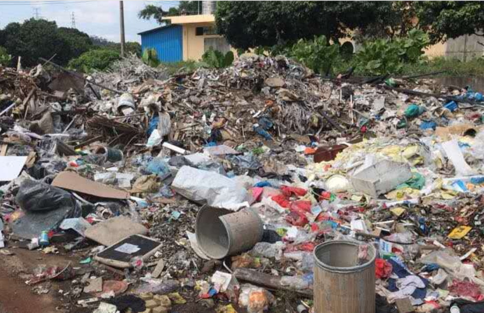 一般固廢處置 (12)